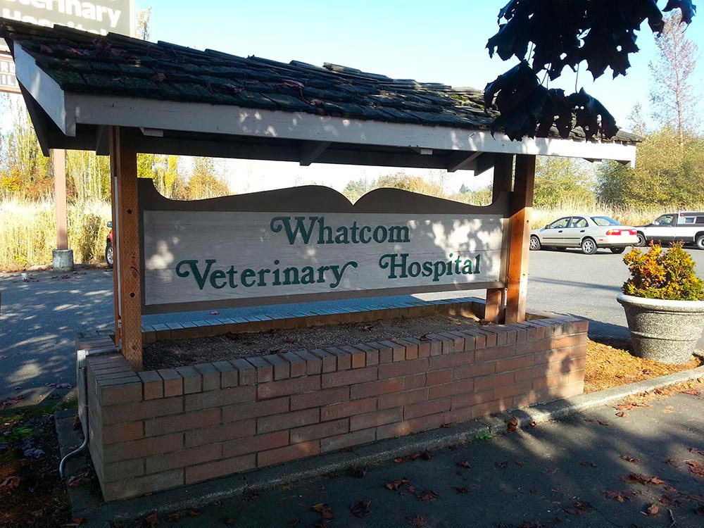 Whatcom Veterinary Hospital sign