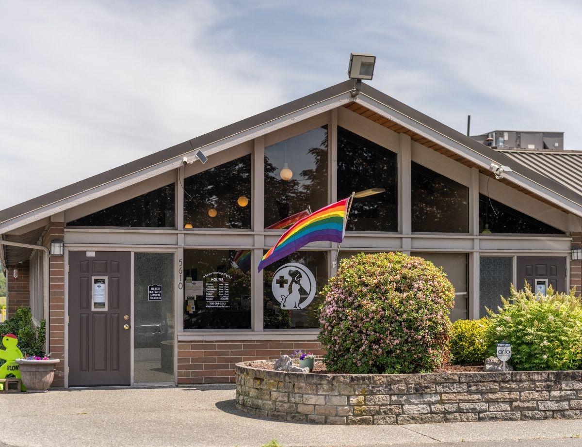 Whatcom Veterinary Hospital sign