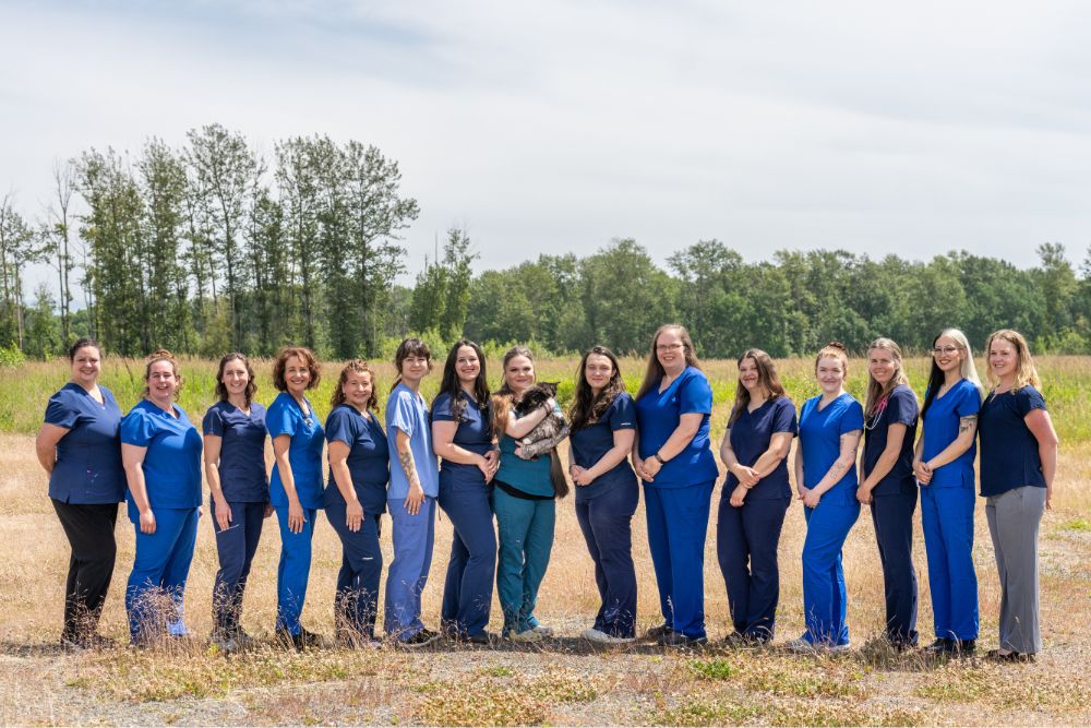 Whatcom Veterinary Hospital team